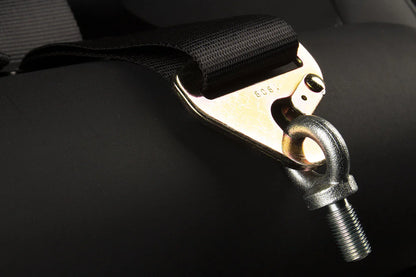 BRAUM Racing Harness (4 Point / 2” Strap) Black / Red / Pink / White / Lime Green