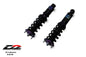D2 Racing RS Coilovers for 1997-2001 Acura Integra Type-R