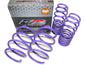 D2 Racing PRO Lowering Springs 1.8"F/2.0"R for 2011-2023 Chrysler 300