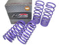 D2 Racing PRO Lowering Springs 1.8"F/1.9"R for 2006-2010 Dodge Charger