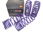 D2 Racing PRO Lowering Springs 2.5"F/2.25"R for 1998-2002 Honda Accord