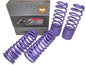 D2 Racing PRO Lowering Springs 2.5"F/2.25"R for 1992-2000 Honda Civic