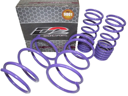 D2 Racing PRO Lowering Springs 2.0"F/2.0"R for 2001-2005 Honda Civic (Including Si)