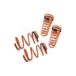 Megan Racing Lowering Springs for 2004-2007 Mitsubishi Galant