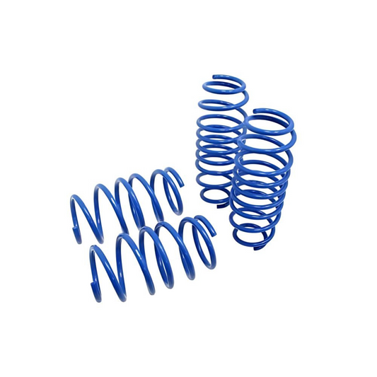 Manzo Lowering Springs 1.13"F / 1.13"R for 2013-2016 Dodge Dart (LSDD-13)