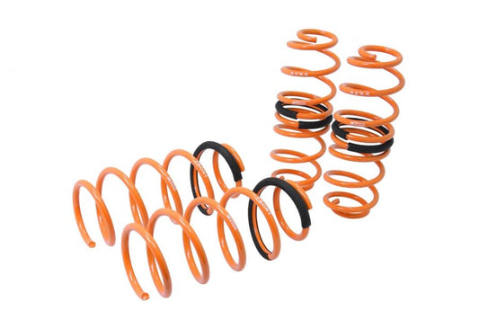 Megan Racing Lowering Springs for 2011-2016 Ford Fiesta (EXC ST Model) - MR-LS-FFSA12