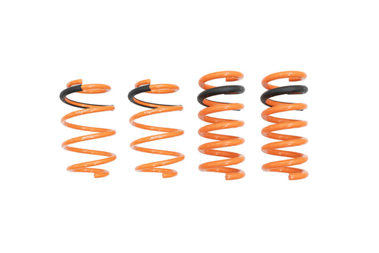 Megan Racing Lowering Springs for 15-23 Ford Mustang/ 2024+ (W/ Magneride) - MR-LS-FM15-MG