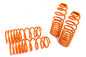 Megan Racing Street-Version Lowering Springs Kit For 94-98 Mitsubishi Galant 7th
