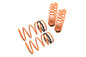 Megan Racing Lowering Springs for 1992-2001 Mitsubishi Mirage - MR-LS-MM92