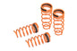 Megan Racing Street Version 2 Coil Lowering Springs For 16+ MX-5 Miata ND
