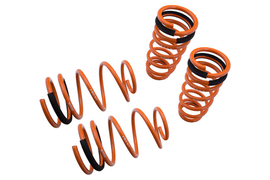 Megan Racing Street-Version Coil Lowering Springs For 00-06 Nissan Sentra B15