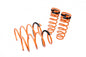 Megan Racing Street-Version Coil Lowering Springs For 14-19 Toyota Corolla Sedan E170