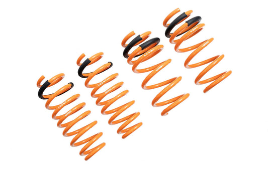 Megan Racing Lowering Springs for 2017+ Tesla Model 3 (RWD Only) - MR-LS-TSL17